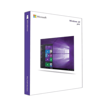 Windows 10 Professional